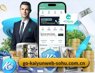 开云官网 APP 深度功能 - KAIYUN
