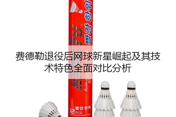 费德勒退役后网球新星崛起及其技术特色全面对比分析（KAIYUN）